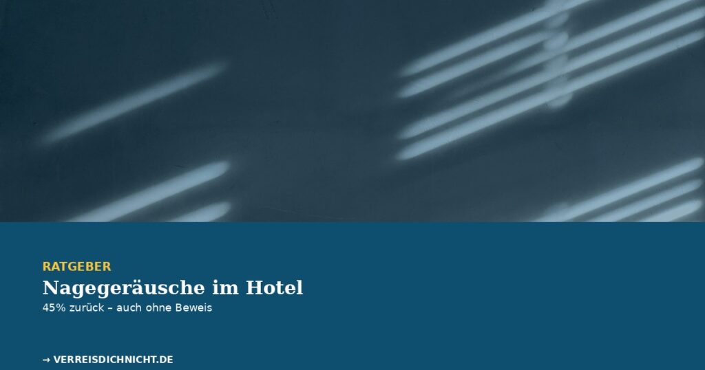 Nagegeräusche Hotelzimmer Reisemangel – Licht-Schatten-Muster einer Jalousie an dunkler Wand